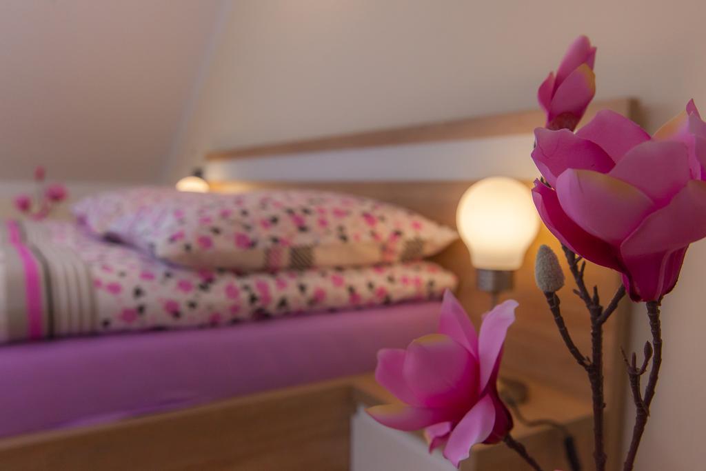 Apartamenty Galeria Jordanowska Eksteriør billede