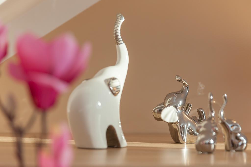 Apartamenty Galeria Jordanowska Eksteriør billede